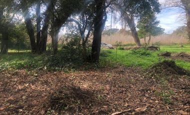 Venta Lote en Reserva Forestal Barrio El Tejado