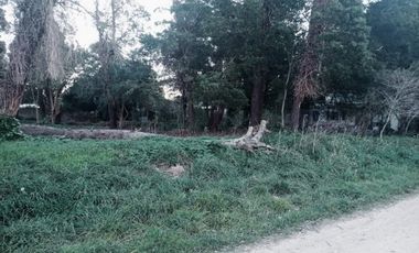 Venta Lote en Reserva Forestal Barrio El Tejado