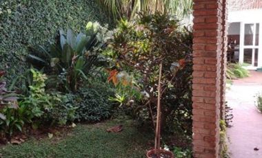 Zona Centro