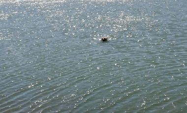 SE VENDE PARCELA 5000M2 LA ESTRELLA