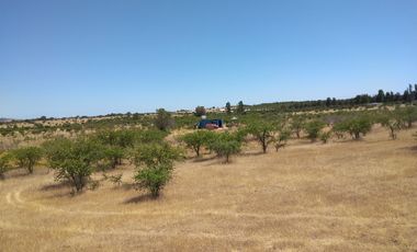 SE VENDE PARCELA 5000M2 LA ESTRELLA