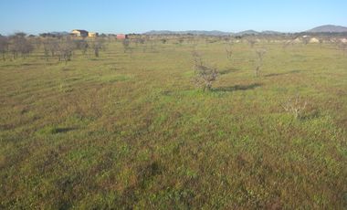 SE VENDE PARCELA 5000M2 LA ESTRELLA