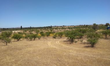 SE VENDE PARCELA 5000M2 LA ESTRELLA