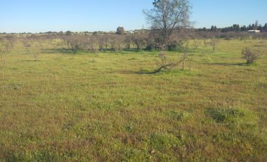 SE VENDE PARCELA 5000M2 LA ESTRELLA