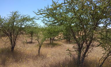 SE VENDE PARCELA 5000M2 LA ESTRELLA