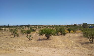 SE VENDE PARCELA 5000M2 LA ESTRELLA