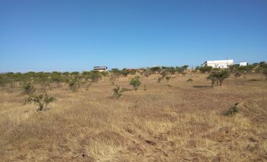 SE VENDE PARCELA 5000M2 LA ESTRELLA