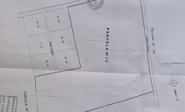 VENTA 11 HECTREAS, PROYECTO SAN JOSE TORO, NANCAGUA