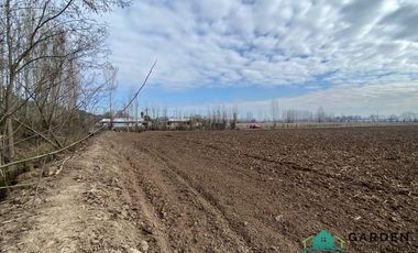 VENTA 11 HECTREAS, PROYECTO SAN JOSE TORO, NANCAGUA