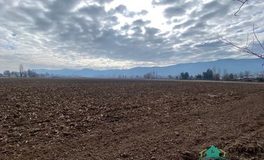 VENTA 11 HECTREAS, PROYECTO SAN JOSE TORO, NANCAGUA
