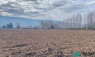 VENTA 11 HECTREAS, PROYECTO SAN JOSE TORO, NANCAGUA