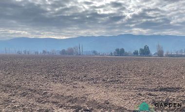 VENTA 11 HECTREAS, PROYECTO SAN JOSE TORO, NANCAGUA