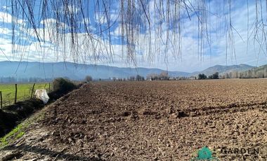 VENTA 11 HECTREAS, PROYECTO SAN JOSE TORO, NANCAGUA