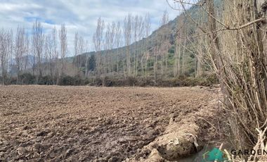 VENTA 11 HECTREAS, PROYECTO SAN JOSE TORO, NANCAGUA