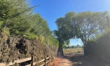 CAMPO 43,7 HA CON AGUA EN PELARCO, VII R.