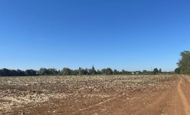 CAMPO 43,7 HA CON AGUA EN PELARCO, VII R.