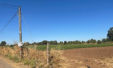 CAMPO 43,7 HA CON AGUA EN PELARCO, VII R.