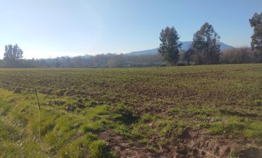 CAMPO DE 36,8 HA IDEAL PROYECTO AGROPECUARIO