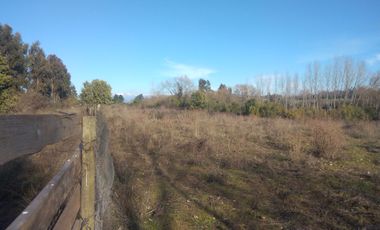 CAMPO DE 36,8 HA IDEAL PROYECTO AGROPECUARIO