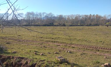 CAMPO DE 36,8 HA IDEAL PROYECTO AGROPECUARIO