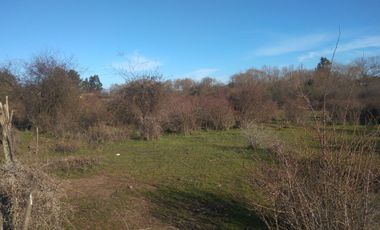 CAMPO DE 36,8 HA IDEAL PROYECTO AGROPECUARIO