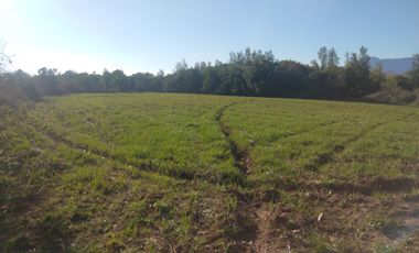 CAMPO DE 36,8 HA IDEAL PROYECTO AGROPECUARIO