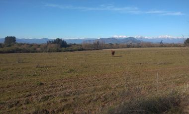 CAMPO DE 36,8 HA IDEAL PROYECTO AGROPECUARIO