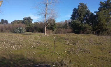CAMPO DE 36,8 HA IDEAL PROYECTO AGROPECUARIO