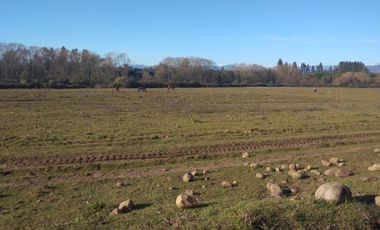 CAMPO DE 36,8 HA IDEAL PROYECTO AGROPECUARIO