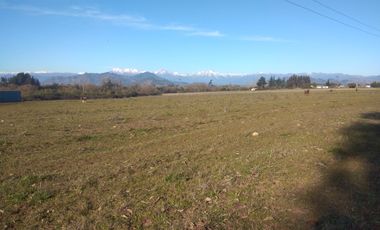 CAMPO DE 36,8 HA IDEAL PROYECTO AGROPECUARIO