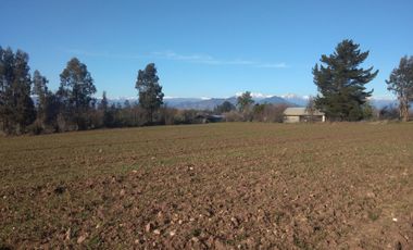 CAMPO DE 36,8 HA IDEAL PROYECTO AGROPECUARIO