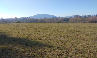 CAMPO DE 36,8 HA IDEAL PROYECTO AGROPECUARIO