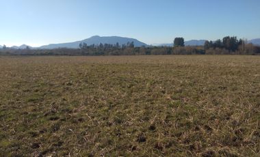 CAMPO DE 36,8 HA IDEAL PROYECTO AGROPECUARIO