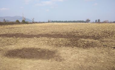 CAMPO 18,5 HA, PLANO, CON AGUA, CHIMBARONGO