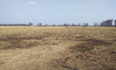 CAMPO 18,5 HA, PLANO, CON AGUA, CHIMBARONGO