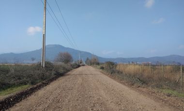 CAMPO 18,5 HA, PLANO, CON AGUA, CHIMBARONGO