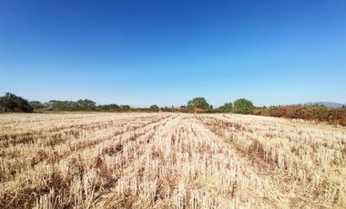 CAMPO 23 HA  CERCANO A CARRETERA AGUA TENO VII R