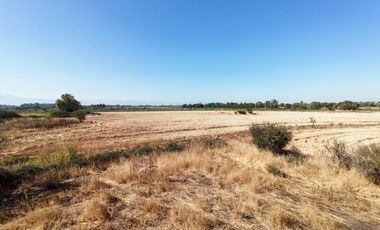 CAMPO 23 HA  CERCANO A CARRETERA AGUA TENO VII R