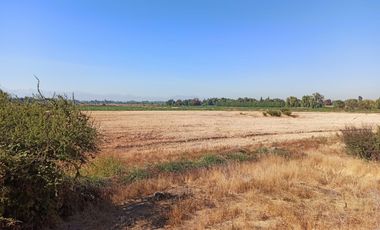 CAMPO 23 HA  CERCANO A CARRETERA AGUA TENO VII R