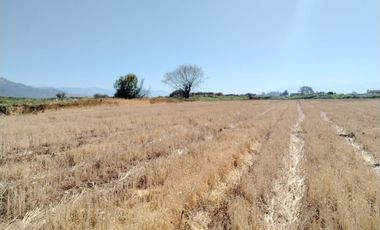 CAMPO 23 HA  CERCANO A CARRETERA AGUA TENO VII R