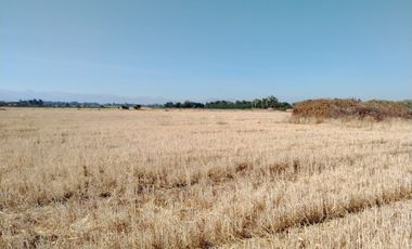 CAMPO 23 HA  CERCANO A CARRETERA AGUA TENO VII R