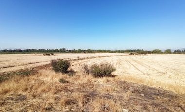 CAMPO 23 HA  CERCANO A CARRETERA AGUA TENO VII R