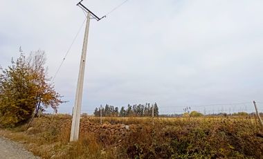 CAMPO 23 HA  CERCANO A CARRETERA AGUA TENO VII R