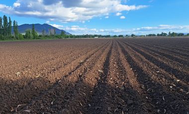 10 HA PLANAS, AGUA, EXCELENTE ACCESO, PALMILLA, VI R
