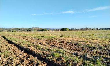 CAMPO 33,5 HA, PLANO, BUEN ACCESO,  SAN CLEMENTE, VII R