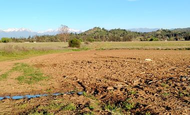CAMPO 33,5 HA, PLANO, BUEN ACCESO,  SAN CLEMENTE, VII R