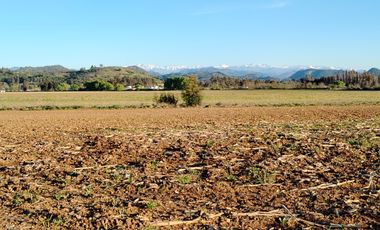 CAMPO 33,5 HA, PLANO, BUEN ACCESO,  SAN CLEMENTE, VII R