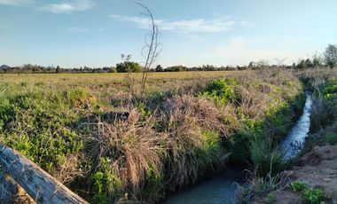 CAMPO 33,5 HA, PLANO, BUEN ACCESO,  SAN CLEMENTE, VII R