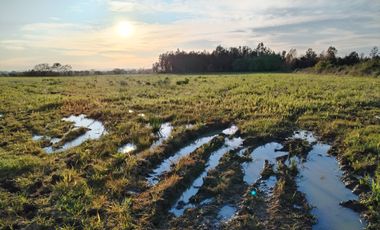 CAMPO 33,5 HA, PLANO, BUEN ACCESO,  SAN CLEMENTE, VII R