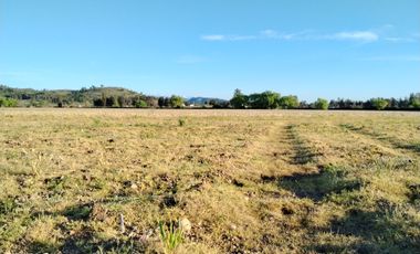 CAMPO 33,5 HA, PLANO, BUEN ACCESO,  SAN CLEMENTE, VII R